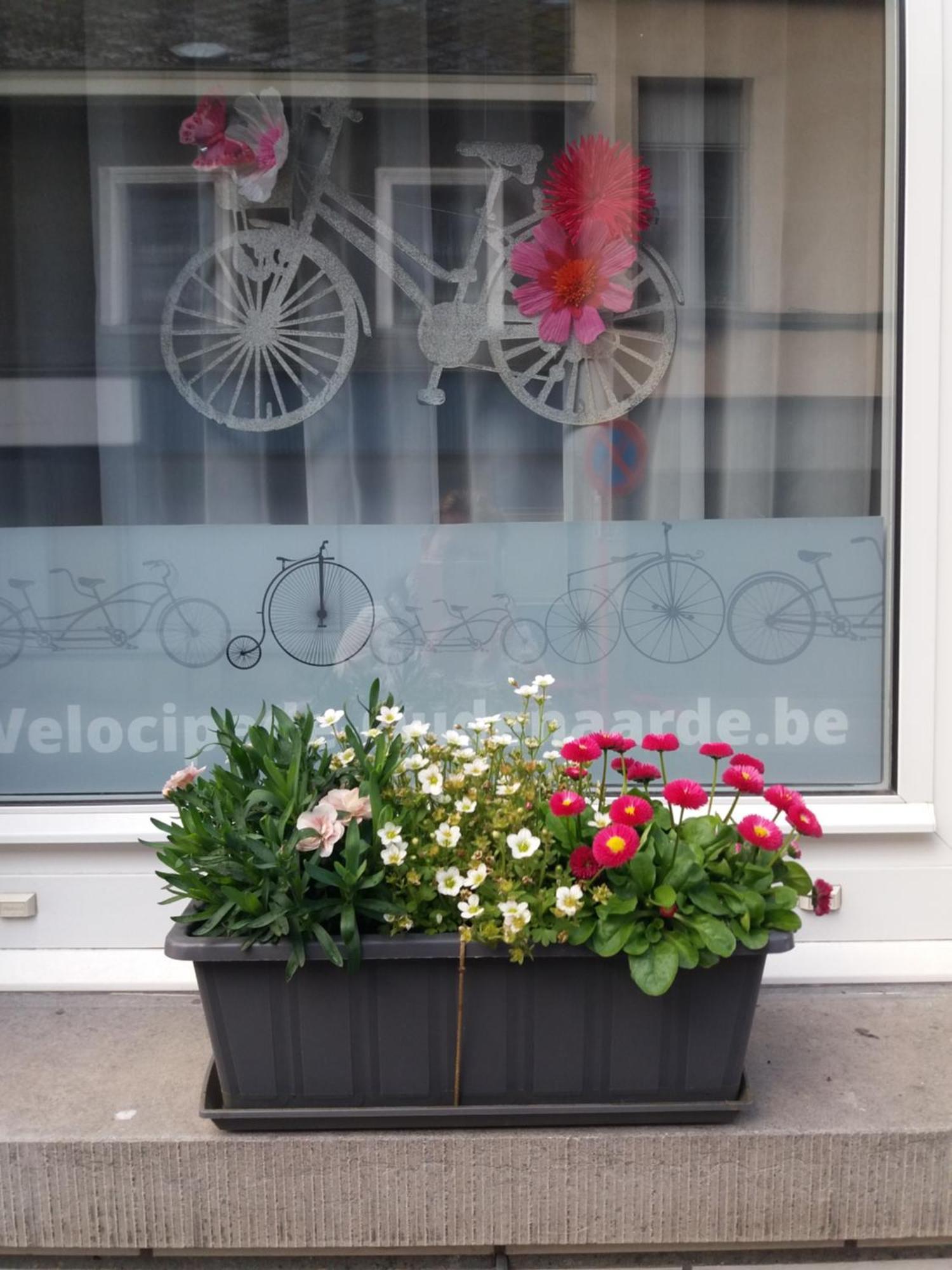 Velocipede Oudenaarde Vakantieverblijf 6 Pers (Adults Only) Luaran gambar